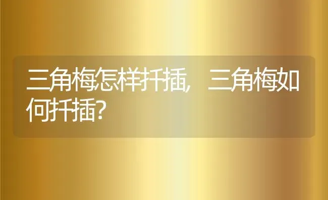 三角梅怎样扦插,三角梅如何扦插？ | 养殖科普