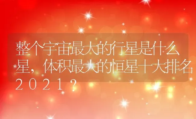 虞美人什么时候开花,虞美人幼苗生长过程？ | 养殖科普