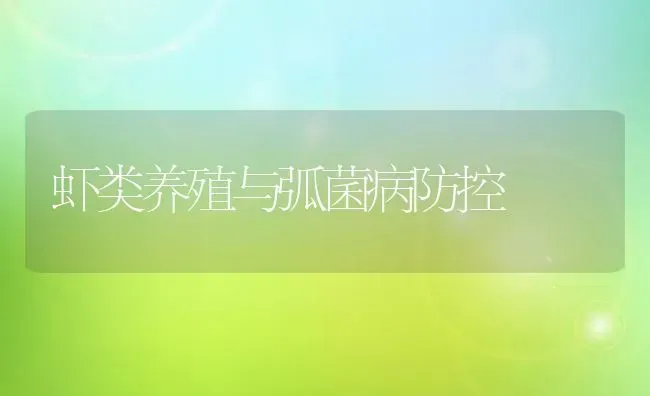 虾类养殖与弧菌病防控 | 养殖技术大全