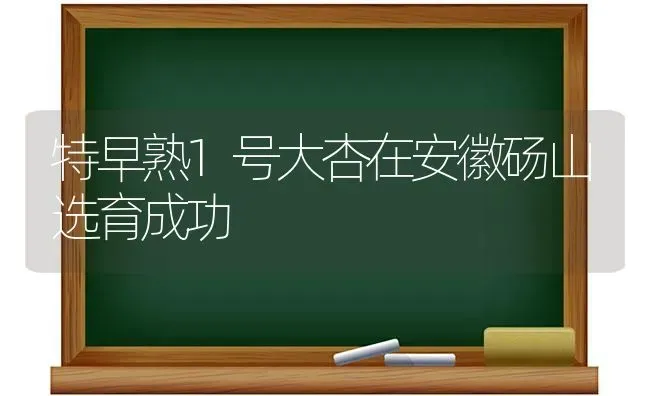 特早熟1号大杏在安徽砀山选育成功 | 养殖技术大全