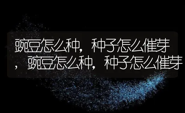 给财神上供最好的五种水果,供财神用什么水果？ | 养殖科普