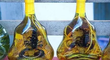 活蝎子泡酒能喝吗 | 常识大全