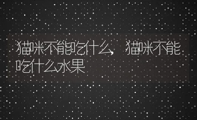 猫咪不能吃什么,猫咪不能吃什么水果 | 养殖科普