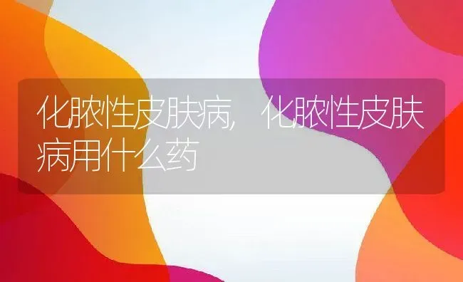 化脓性皮肤病,化脓性皮肤病用什么药 | 养殖科普