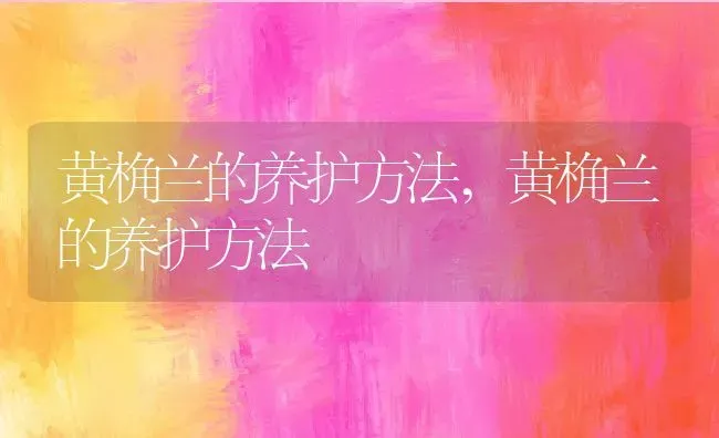 黄桷兰的养护方法,黄桷兰的养护方法 | 养殖学堂