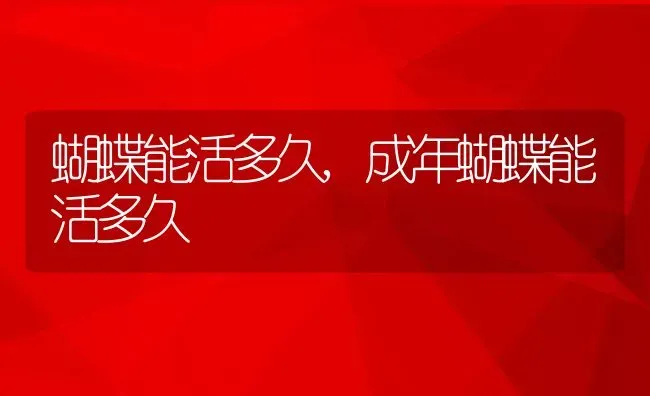 蝴蝶能活多久,成年蝴蝶能活多久 | 养殖科普