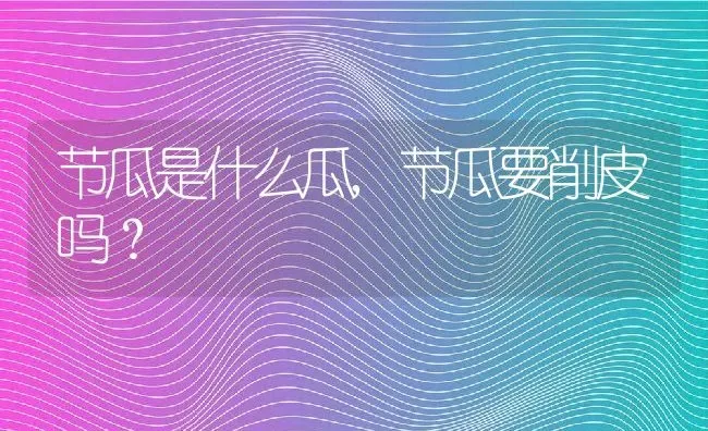节瓜是什么瓜,节瓜要削皮吗？ | 养殖科普