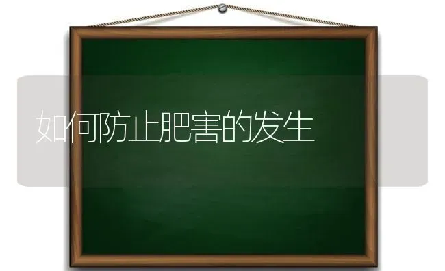 如何防止肥害的发生 | 养殖技术大全