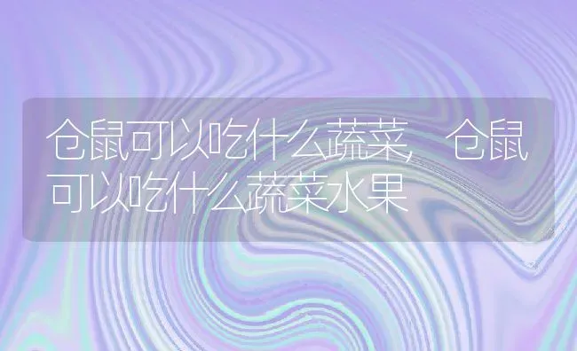 仓鼠可以吃什么蔬菜,仓鼠可以吃什么蔬菜水果 | 养殖科普