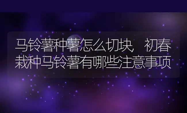 马铃薯种薯怎么切块,初春栽种马铃薯有哪些注意事项 | 养殖学堂