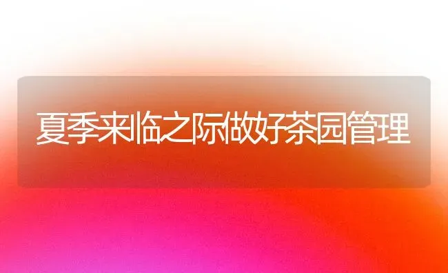 夏季来临之际做好茶园管理 | 养殖知识