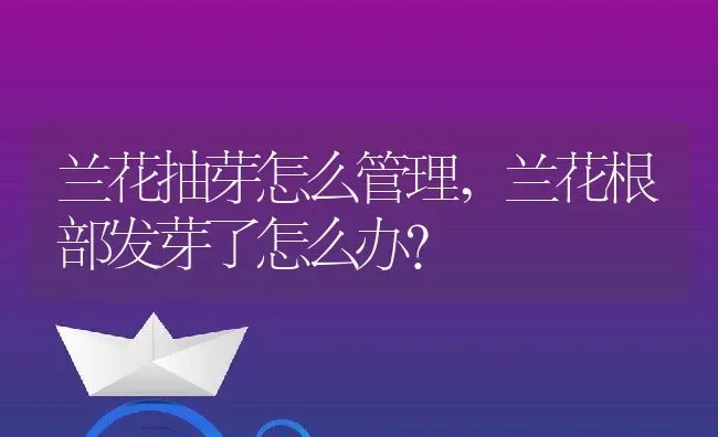 兰花抽芽怎么管理,兰花根部发芽了怎么办？ | 养殖科普