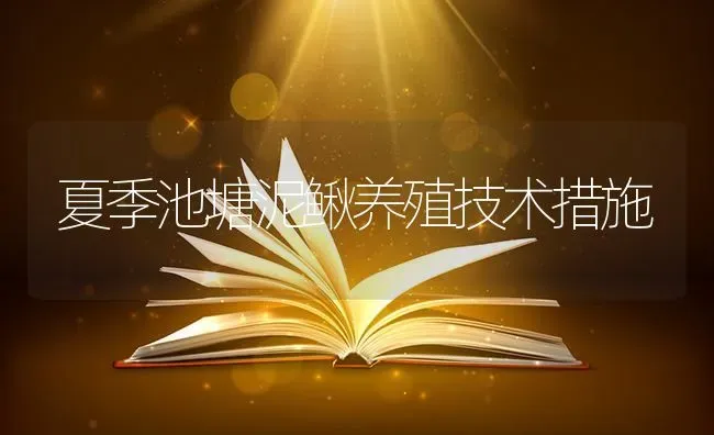 夏季池塘泥鳅养殖技术措施 | 养殖技术大全