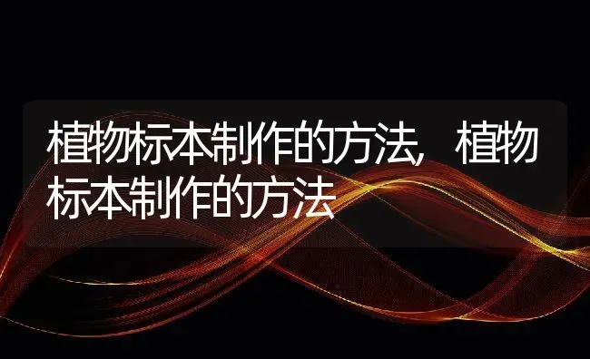 植物标本制作的方法,植物标本制作的方法 | 养殖科普