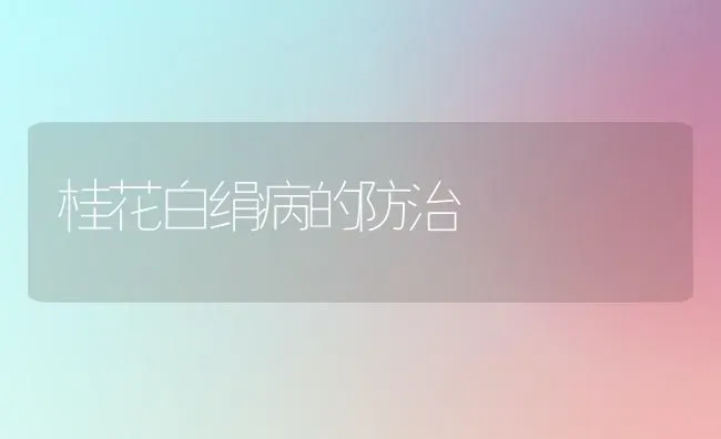 桂花白绢病的防治 | 养殖知识