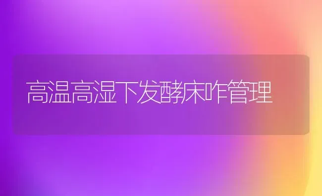 高温高湿下发酵床咋管理 | 养殖技术大全