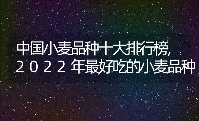 中国小麦品种十大排行榜,2022年最好吃的小麦品种 | 养殖学堂