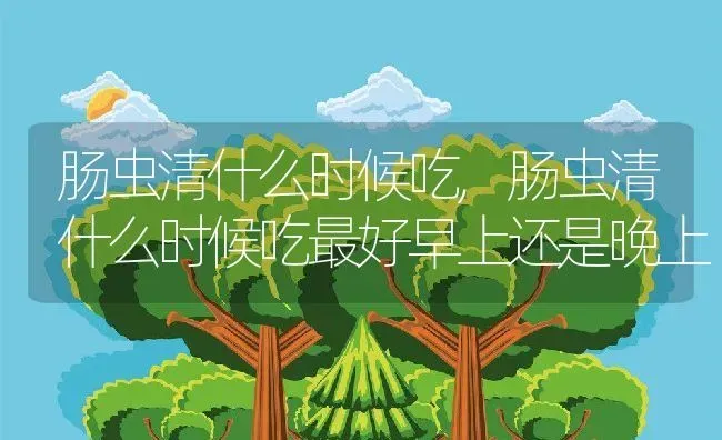 肠虫清什么时候吃,肠虫清什么时候吃最好早上还是晚上 | 养殖科普