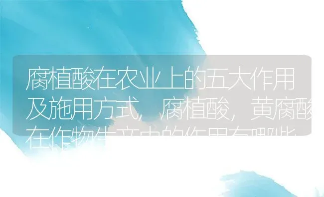 腐植酸在农业上的五大作用及施用方式,腐植酸，黄腐酸在作物生产中的作用有哪些 | 养殖学堂