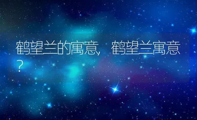 鹤望兰的寓意,鹤望兰寓意？ | 养殖科普