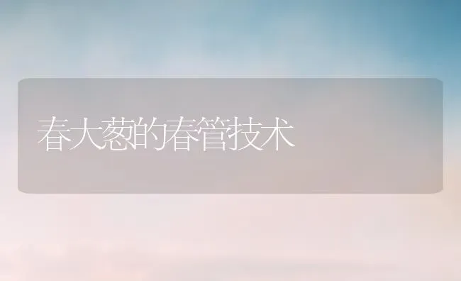 春大葱的春管技术 | 养殖技术大全