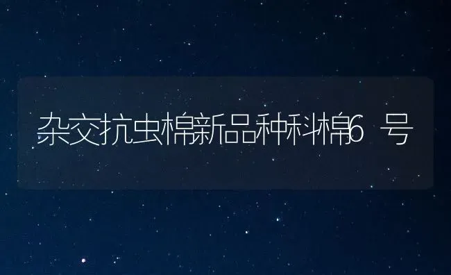 杂交抗虫棉新品种科棉6号 | 养殖知识