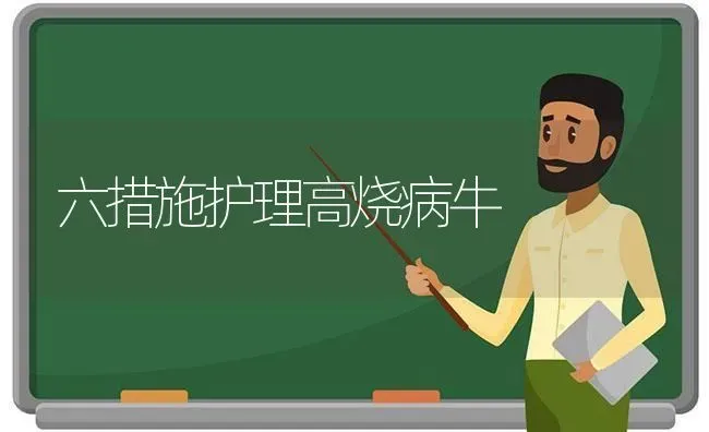 六措施护理高烧病牛 | 养殖知识