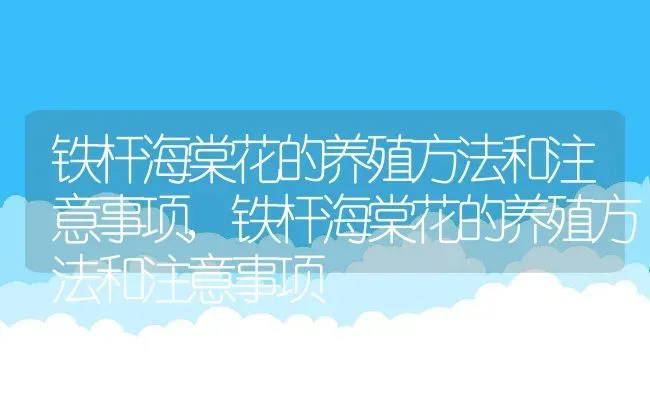 铁杆海棠花的养殖方法和注意事项,铁杆海棠花的养殖方法和注意事项 | 养殖科普