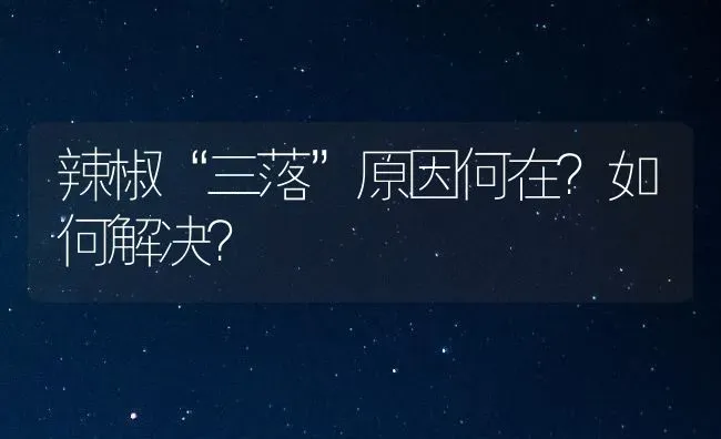 辣椒“三落”原因何在?如何解决? | 养殖知识