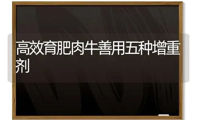 高效育肥肉牛善用五种增重剂 | 养殖技术大全