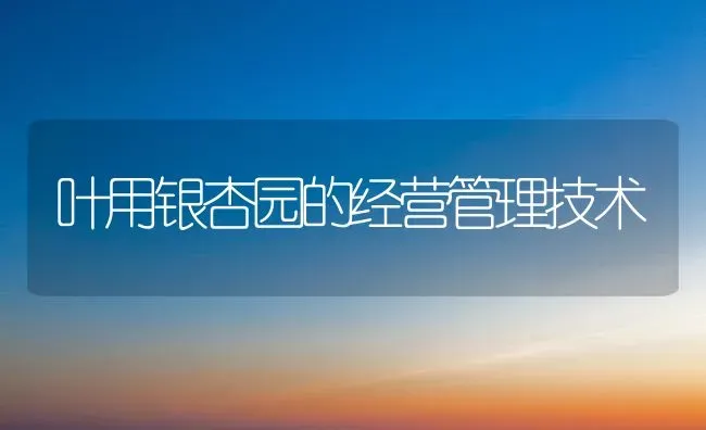 叶用银杏园的经营管理技术 | 养殖技术大全