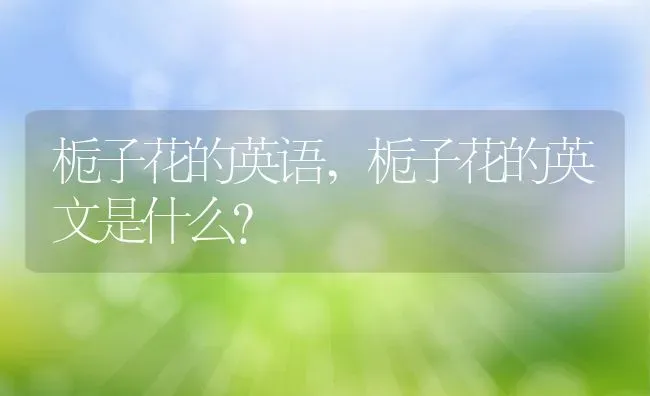 栀子花的英语,栀子花的英文是什么？ | 养殖学堂