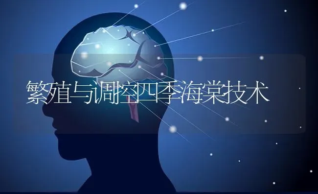 繁殖与调控四季海棠技术 | 养殖知识