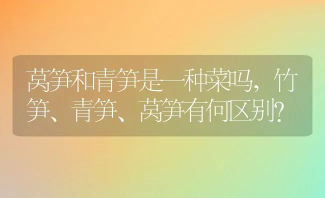 香椿与臭椿的区别,香椿树是不是椿树？ | 养殖科普