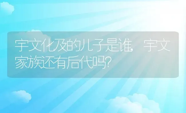 宇文化及的儿子是谁,宇文家族还有后代吗？ | 养殖科普