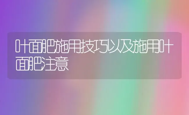 叶面肥施用技巧以及施用叶面肥注意 | 养殖技术大全