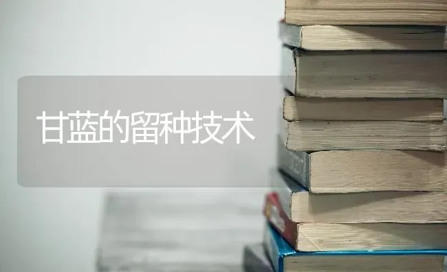 甘蓝的留种技术 | 养殖技术大全