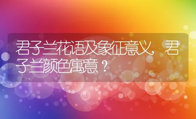 君子兰花语及象征意义,君子兰颜色寓意？ | 养殖科普