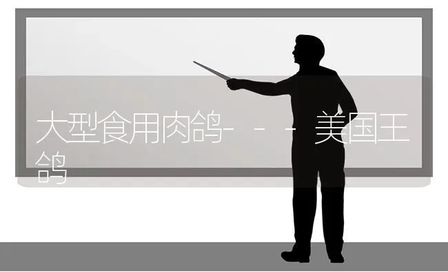 大型食用肉鸽---美国王鸽 | 养殖技术大全