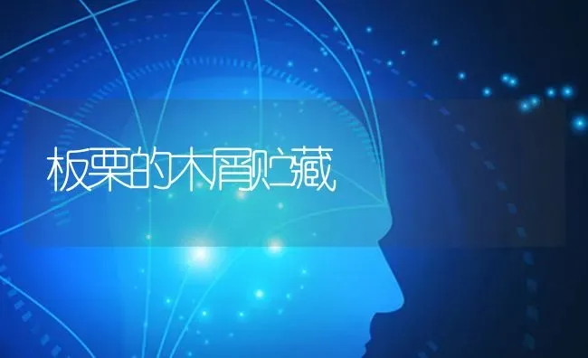 板栗的木屑贮藏 | 养殖技术大全