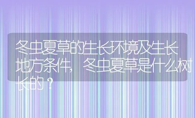 冬虫夏草的生长环境及生长地方条件,冬虫夏草是什么树长的？ | 养殖科普