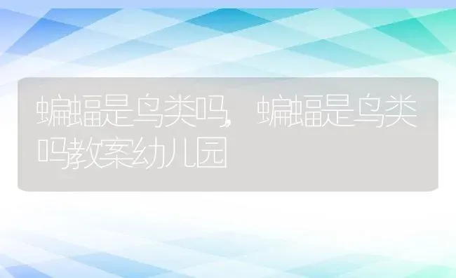 蝙蝠是鸟类吗,蝙蝠是鸟类吗教案幼儿园 | 养殖科普