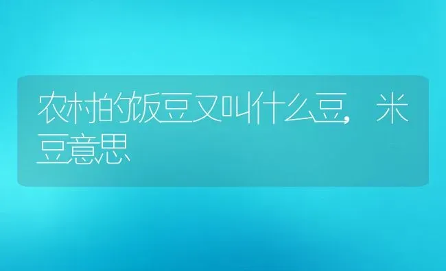 农村的饭豆又叫什么豆,米豆意思 | 养殖学堂