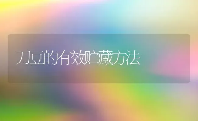 刀豆的有效贮藏方法 | 养殖技术大全