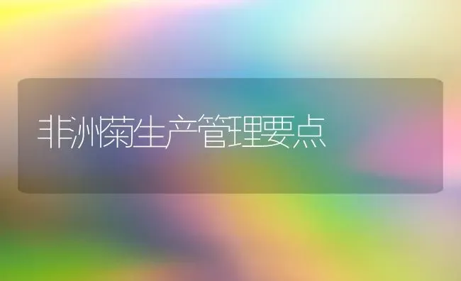 非洲菊生产管理要点 | 养殖知识