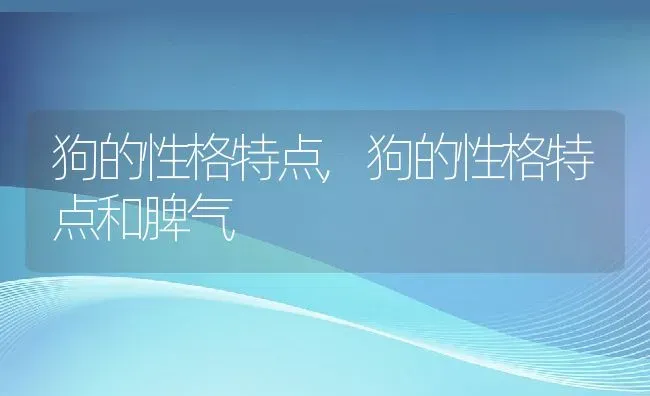 狗的性格特点,狗的性格特点和脾气 | 养殖科普