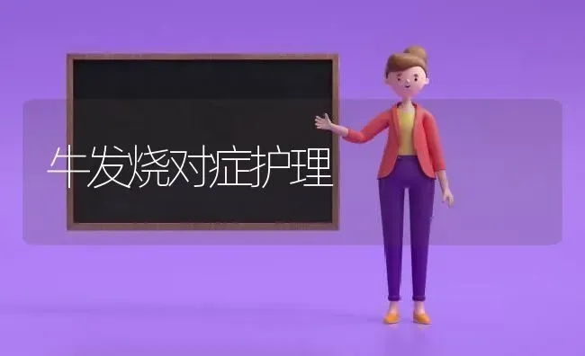 牛发烧对症护理 | 养殖技术大全