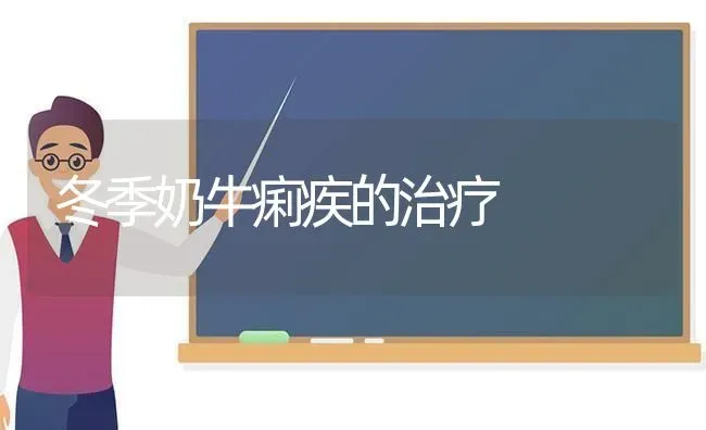 冬季奶牛痢疾的治疗 | 养殖知识