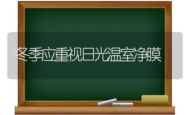 冬季应重视日光温室净膜 | 养殖技术大全