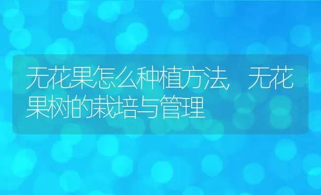 无花果怎么种植方法,无花果树的栽培与管理 | 养殖学堂